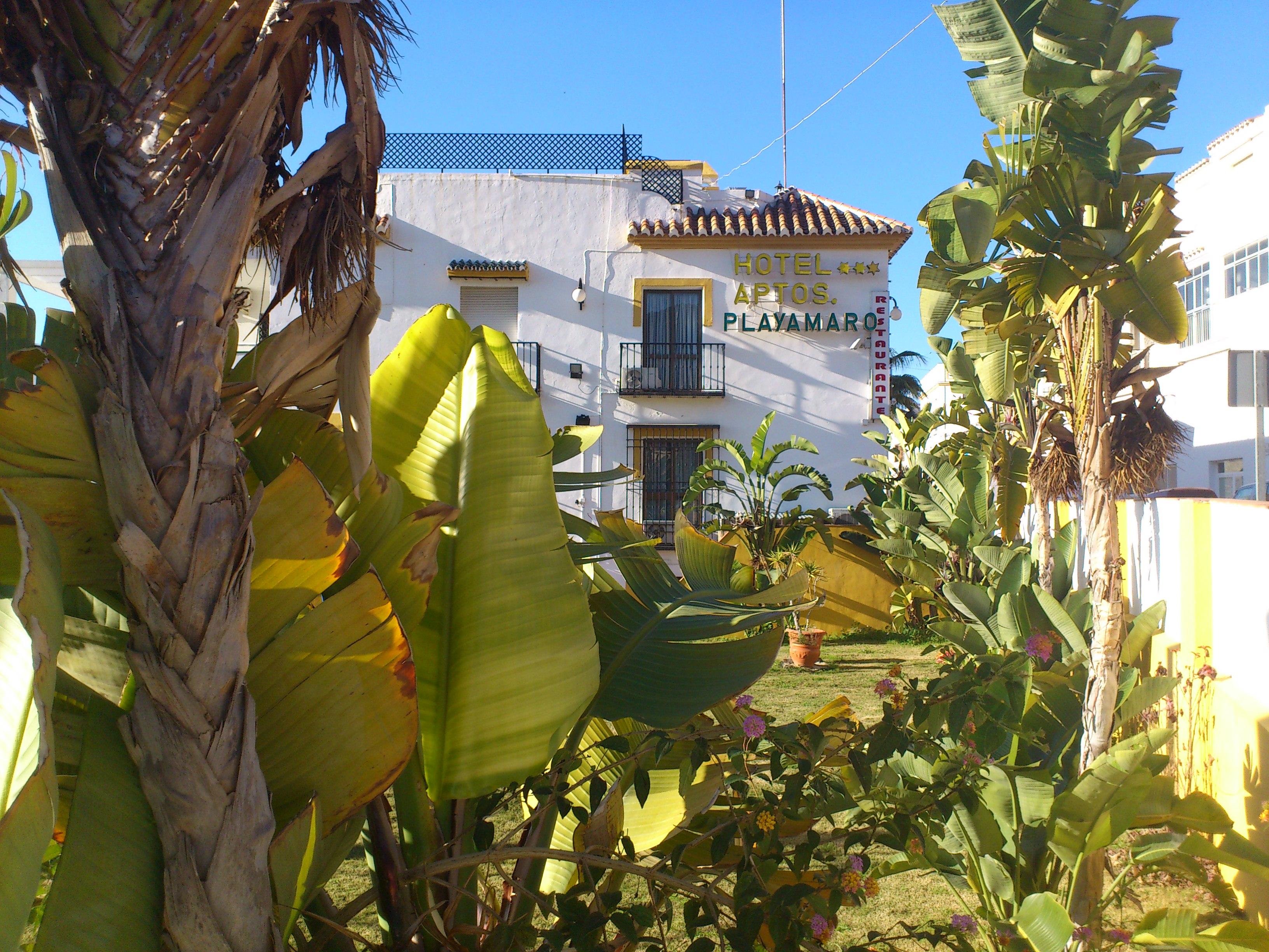 Playamaro Maro
